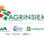 agrinsieme