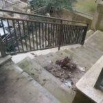 immondizia-300x225