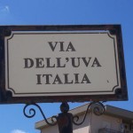 uva