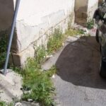 101_3616 (1)_599x449