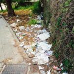 1535021_10204103345084352_8829770086499722969_n_337x449