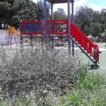 IMG_20150421_123802_599x449