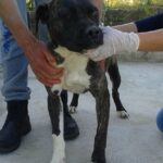 11259478_458052321025266_6580930363193458466_n