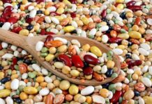 I Legumi: “la carne delle persone sane”