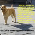 vario333 033-001grtgftrgg