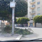 IMG_20160504_134449_599x449