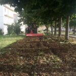 FB_IMG_1468667522247