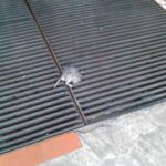 IMG_20160630_182731_337x449