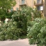 14183675_331946463809041_4591837984950468366_n