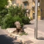 14222191_331946250475729_6570403379329593000_n