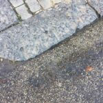 15239376_10208534725913920_556439836_n