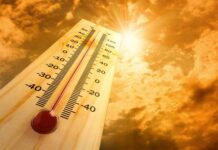 Ondata di calore record in Italia, Sicilia verso i 50°C