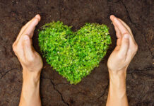 PAC Sicilia, Giuseppe Lombardo: “Soglia anomala del bando sugli investimenti per l’agricoltura”