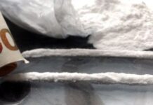 Il cane fiuta gli stupefacenti, sequestrato oltre mezzo chilo di droga