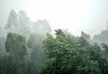 Maltempo, prorogata la chiusura delle scuole a Canicattì per mercoledì 21 gennaio