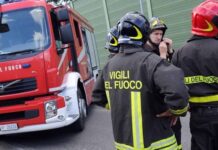 Fiamme devastano rifugio per cani a “Fauma”