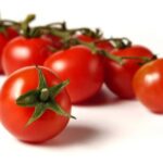 Consorzio di Pachino: il percorso del Pomodoro IGP sempre più trasparente e tracciabile dal campo alla tavola