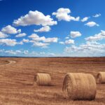 hay bales, round, farm