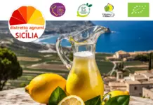 I limoni siciliani protagonisti della nuova campagna social del Distretto Agrumi di Sicilia