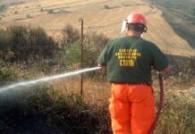 Incendi Monti Sicani, Iacono (PD): “Devastazione incalcolabile, ristori immediati”