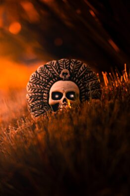 a skull sitting in the middle of a field