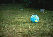Al CinemAmbiente Junior di Torino successi per gli studenti di Gela e di Sommatino – Delia blue and white desk globe on green grass field during daytime
