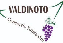 Varato il Consorzio tutela vini Valdinoto, tra gli obiettivi la doc unica del Sud Est siciliano