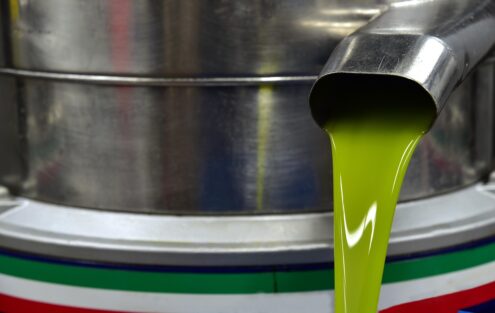 olive oil, centrifuge, production, green, fresh, food, meal, healthy, manufacturing, mediterranean, sicily, harvest, industry, extraction, oil, italy, italian olive oil, olive oil, olive oil, olive oil, olive oil, olive oil