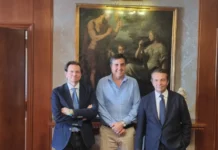 Camera di Commercio Palermo Enna: l’ingegnere Guglielmo Speciale nominato energy manager