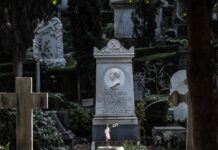 Resti di cadaveri seppelliti in una discarica abusiva di un cimitero: cinque indagati white concrete cross statue near green plants during daytime