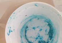 Canicattì, strage di cani con lumachicida: almeno 6 morti tra atroci sofferenze