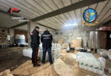 Vasta operazione dei Carabinieri a tutela della qualità agroalimentare e del Made in Italy nel settore oleario a Palma di Montechiaro