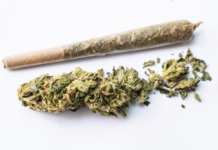 Fuga contromano in scooter, 19enne arrestato con droga e contanti