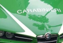 Truffa ai danni dell’Unione Europea, 6 misure cautelari