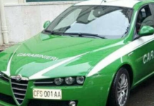 Controlli negli ovili, sanzioni per violazioni sul tracciamento degli animali