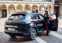 Carabinieri salvano quattro cuccioli, vivevano tra escrementi e fango