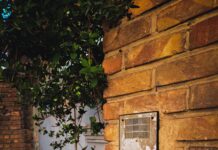 Cerca prostituta ma sbaglia campanello e suona al citofono di anziana che chiama la Polizia a white door with a plant growing on top of it