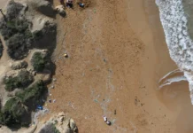 L’Università di Palermo annuncia il primo modello previsionale di accumulo di microplastiche nel Mediterraneo centrale