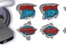 Le tecnologie digitali svelano il passato delle iene siciliane