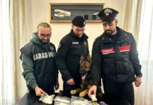 Nasconde mezzo chilo tra cocaina e hashish in garage, arrestato 22enne a Licata