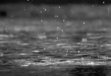 Naro, rinviata la Primavera Narese – Sagra del Mandorlo in Fiore: maltempo ferma l’evento di domani grayscale photography of raindrops