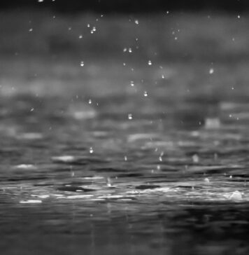 Naro, rinviata la Primavera Narese – Sagra del Mandorlo in Fiore: maltempo ferma l’evento di domani grayscale photography of raindrops