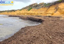 Posidonia, Mareamico: “Da problema a possibile risorsa”