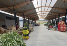 Licata, aperto il nuovo Mercato Ortofrutticolo