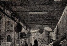 Pillole di storia di GAETANO AUGELLO —- VICENDE PARNASIANE: SALVATORE SANMARTINO E PIETRO CRETTI