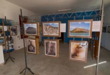 “Gessi e Zolfare”, secondo appuntamento ed escursione botanica a Torre Salsa