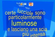 Certe lucciole sono particolarmente luminose e lasciano una scia più intensa