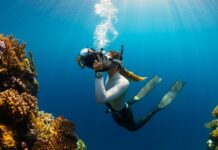 Turismo subacqueo, Santo Primavera presenta Ddl per recepire la normativa nazionale in Sicilia a woman scubas in the ocean with a camera