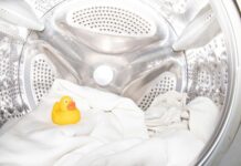 Sicilia prima regione in Italia per tenuta dei consumi di beni durevoli a rubber ducky toy sitting inside of a washing machine