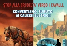 Palermo punta a un turismo sostenibile: veicoli elettrici al posto delle carrozze a trazione animale